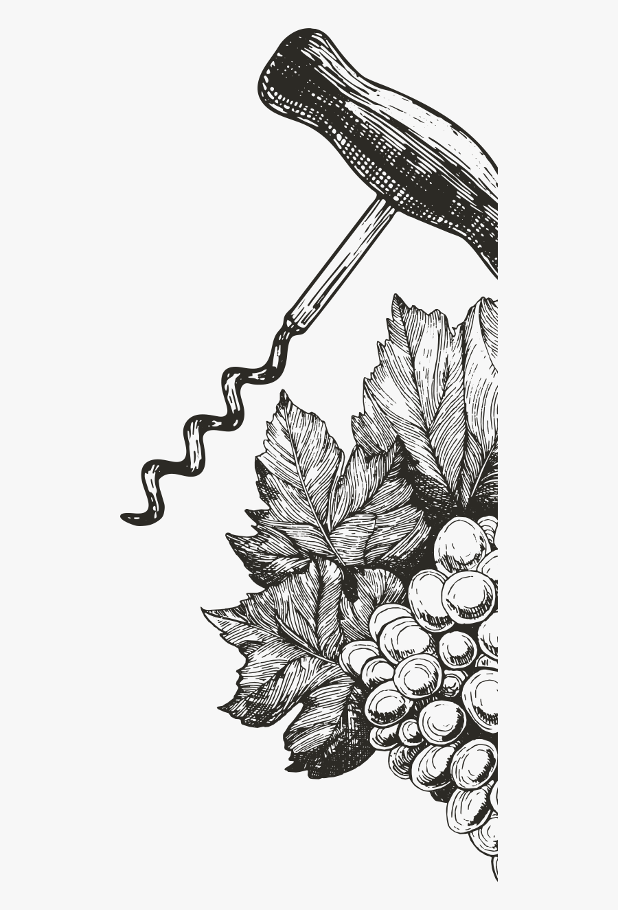 Sketch, Transparent Clipart