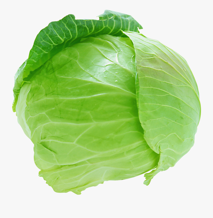 Cabbage Png, Transparent Clipart