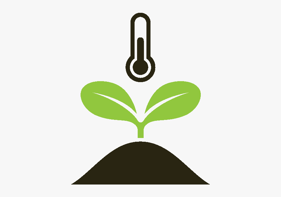 Seed Clipart Ground Cover - Illustration, Transparent Clipart