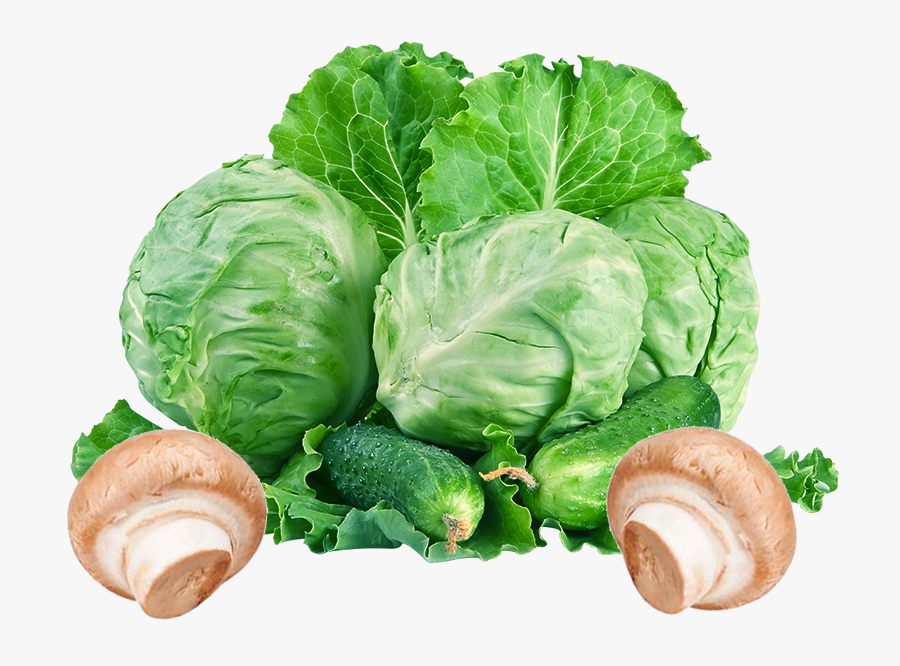 Red Cabbage Coleslaw Cauliflower T-shirt - Kubis Png, Transparent Clipart