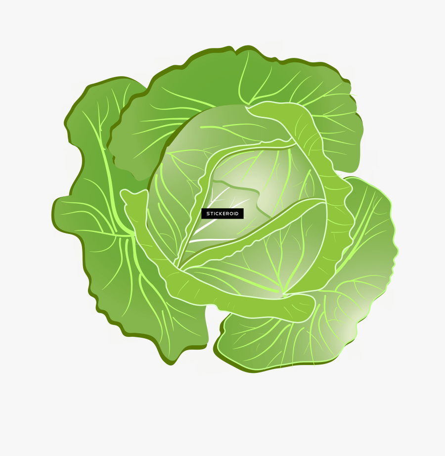 Cabbage Clipart Png , Png Download - Collard Greens, Transparent Clipart