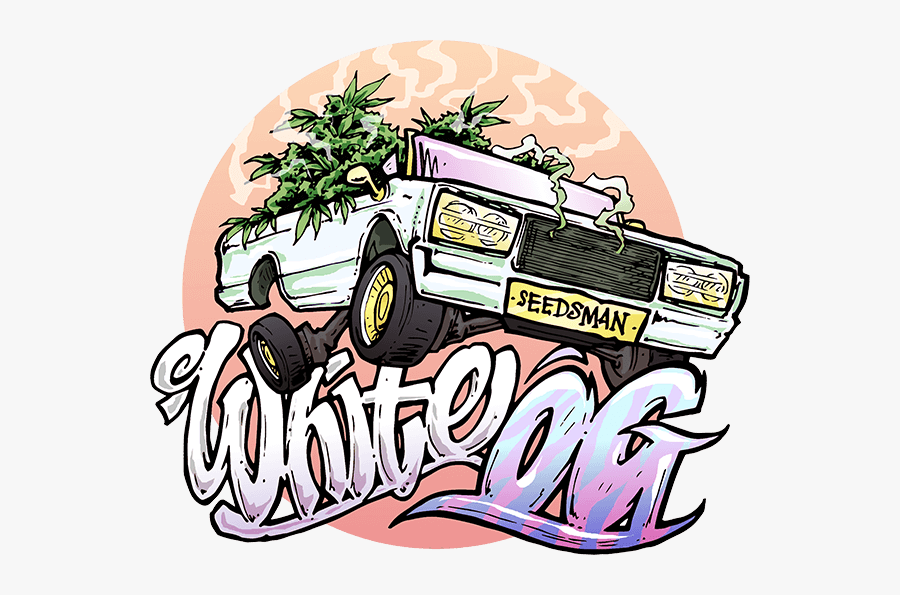 The White Og Feminised Seeds"
 Title="the White Og - White Og Seedsman, Transparent Clipart
