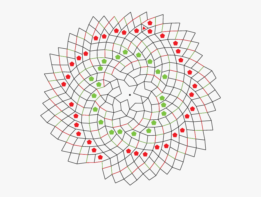 A Decorative Cabbage Brassica Oleracea Var - Circle, Transparent Clipart