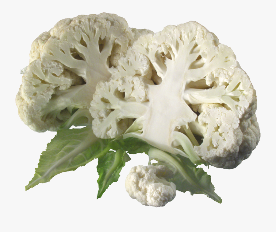 Download This High Resolution Cabbage Png Icon - Transparent Cauliflower Png, Transparent Clipart