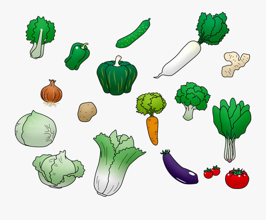 Vegetables, Greens, Cabbage, Carrots, Tomato, Onions - ภาพ วาด ผัก สวน ครัว, Transparent Clipart