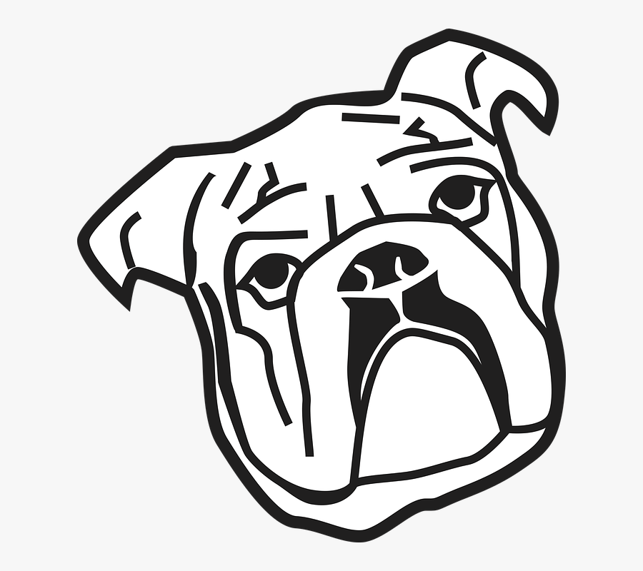 Bulldog, Animal, Dog, Dog Head - Kartun Anjing Bulldog, Transparent Clipart