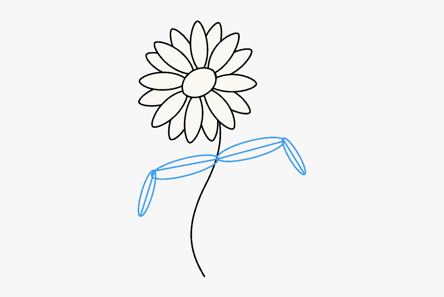 How To Draw Daisy Flower - Easy Drawing Of Daisy Flower, Transparent Clipart