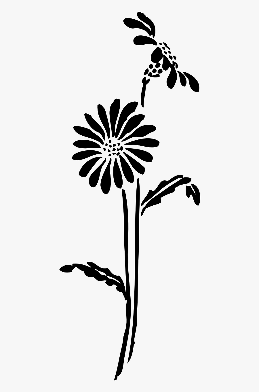 Flower Silhouette No Background, Transparent Clipart