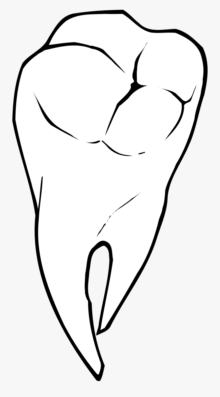 Raseone Tooth Clip Arts - Black And White Deciduous Teeth, Transparent Clipart