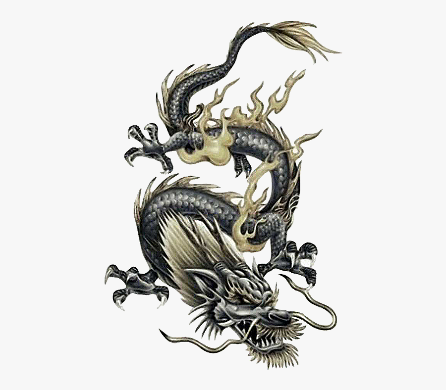 Tattoo Japanese Chinese Dragon Free Frame Clipart - Dragões Chineses, Transparent Clipart