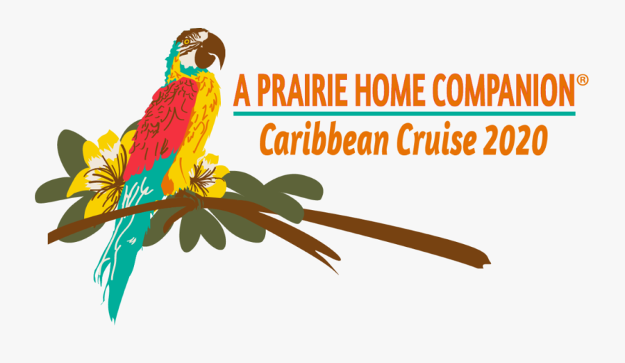 Aphc Cruise 2020 Logo - Parakeet, Transparent Clipart