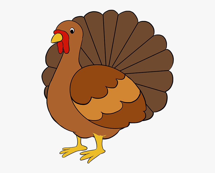 Drawing Turkey Color - Turkey Drawing, Transparent Clipart