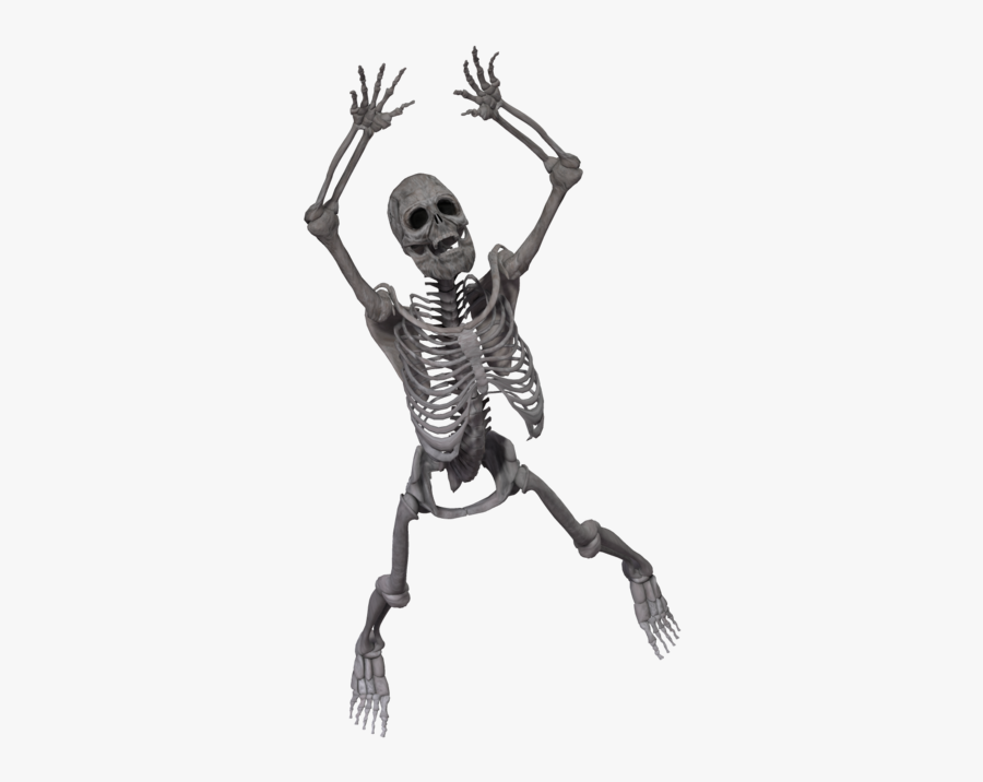 Skeleton Png - Skeleton 3d Render Png, Transparent Clipart