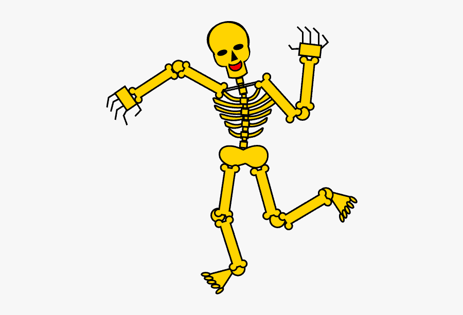 How To Draw Skeleton - Drawing Of Bones Easy, Transparent Clipart