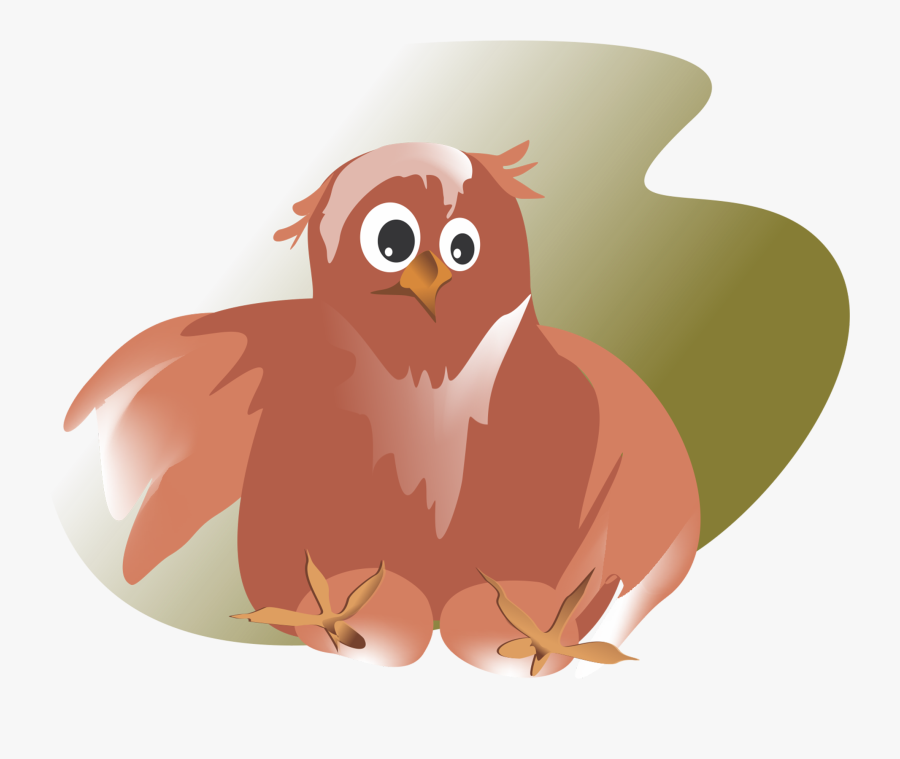 Owl, Transparent Clipart