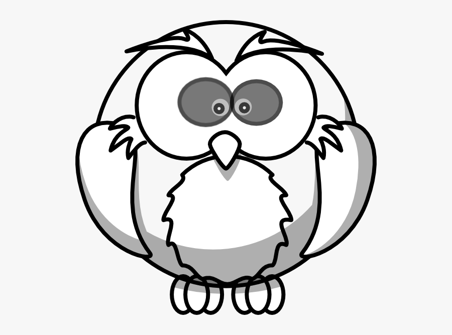 Cartoon Bird Colouring Pages, Transparent Clipart