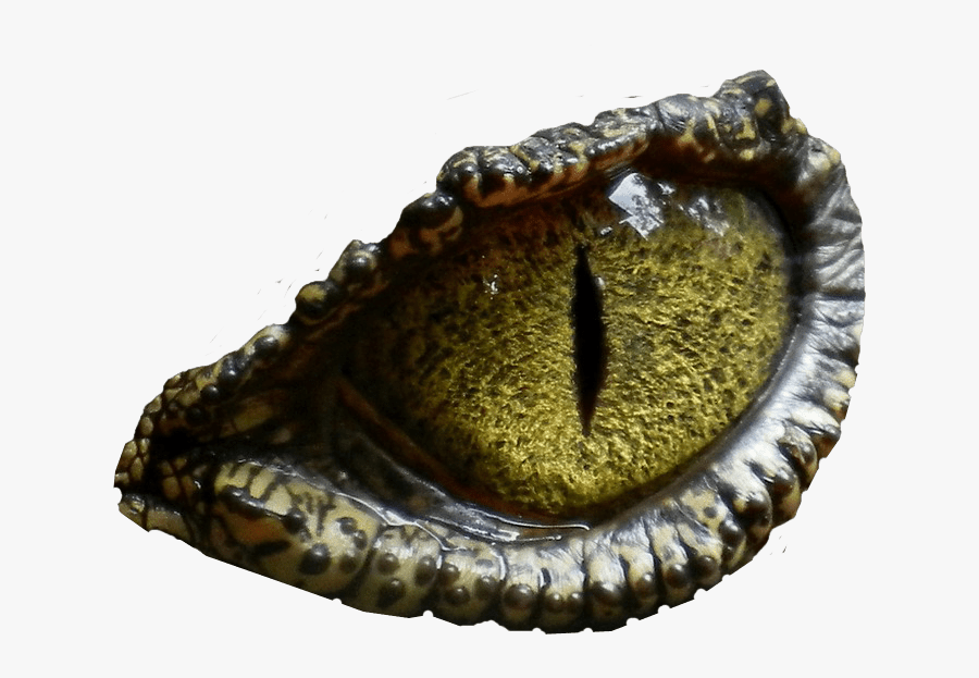 Reptile Eyes Transparent Background, Transparent Clipart