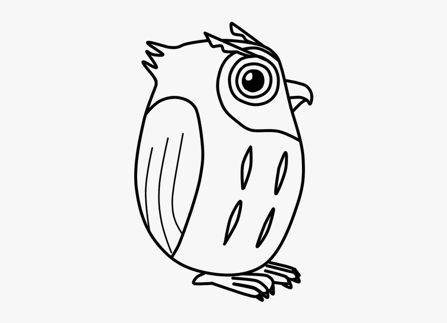 Owl, Vector, Cute, Bird - Owl, Transparent Clipart