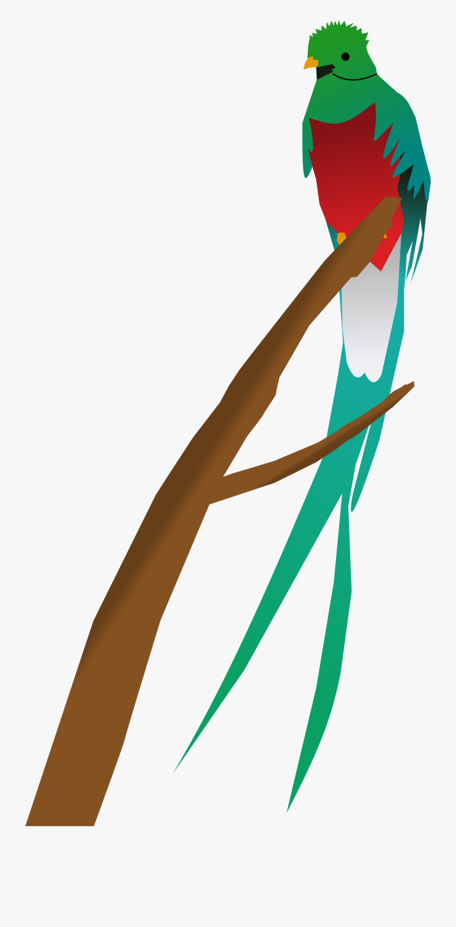 Transparent Omelet Clipart - Quetzal Clipart, Transparent Clipart