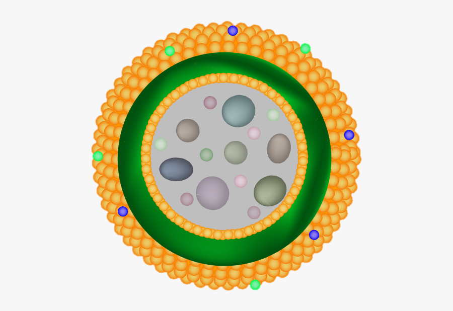 Picture - Organelle Example, Transparent Clipart