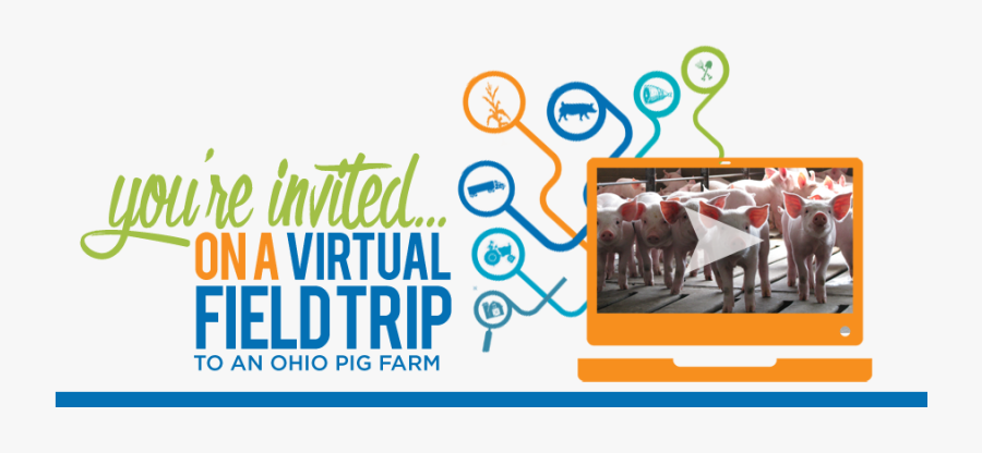 You"re Invited On A Virtual Field Trip To An Ohio Pig - Salt River Fields At Talking Stick, Transparent Clipart