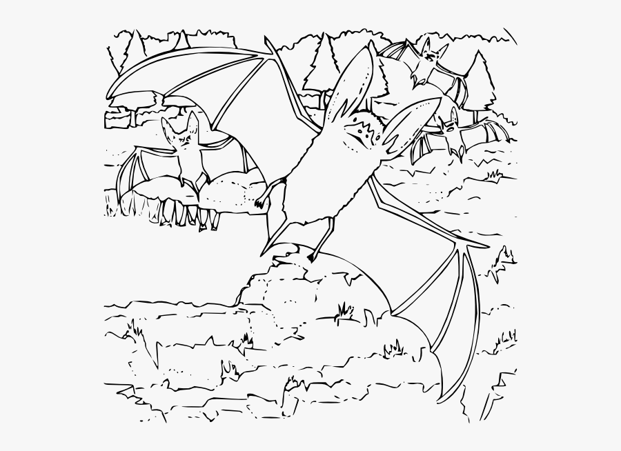 Coloring Book Ozark Big Eared Bat Svg Clip Arts - Ozark Big Eared Bat Coloring Pages, Transparent Clipart