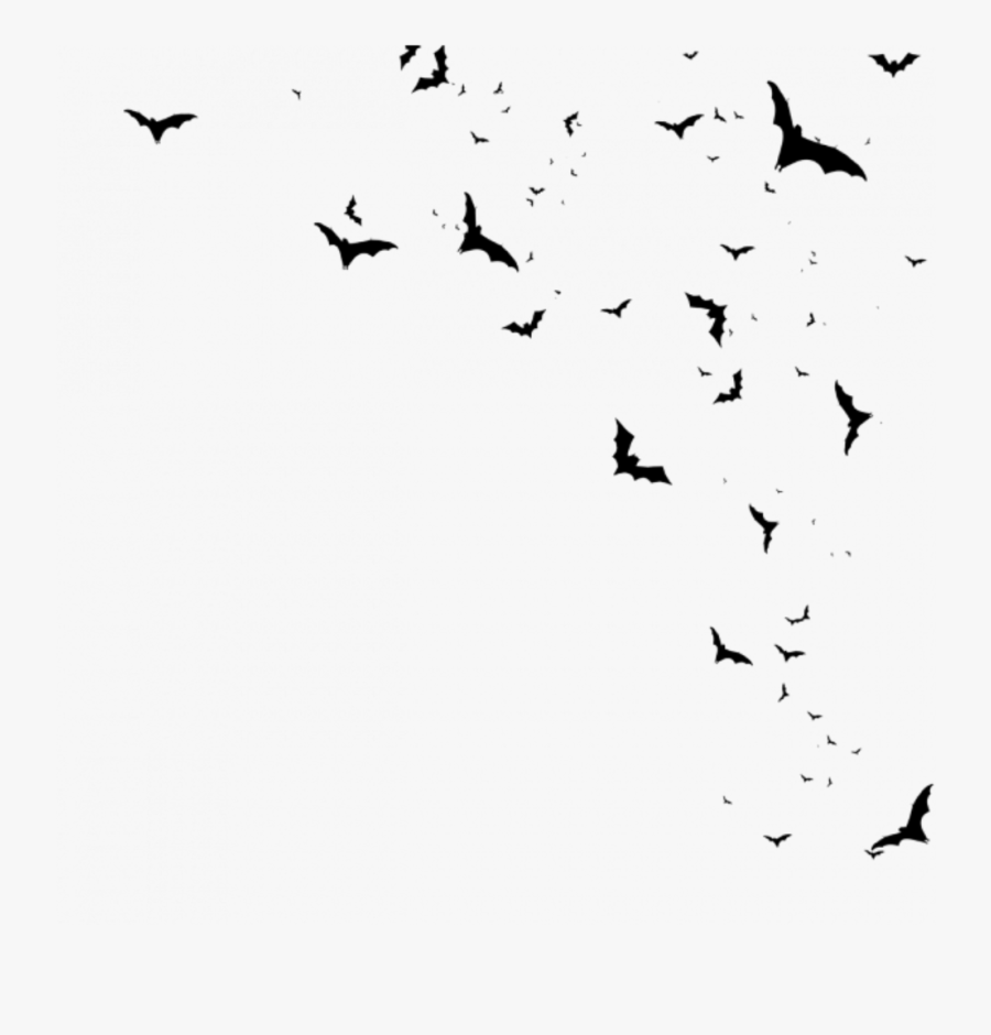 Transparent Flying Bats Clipart - Murcielagos Png, Transparent Clipart
