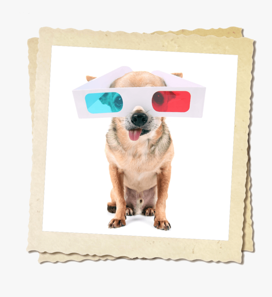 Dog Yawns, Transparent Clipart