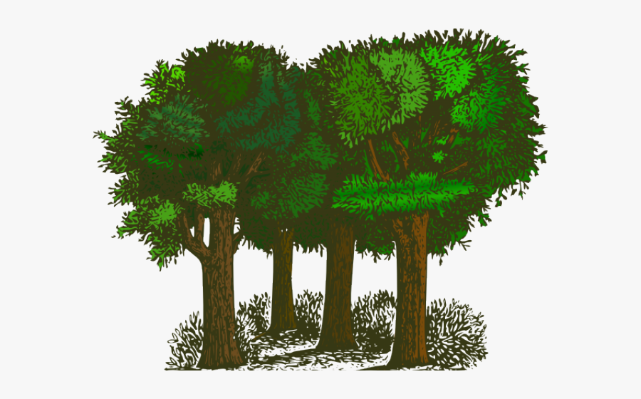 Trees Clipart, Transparent Clipart