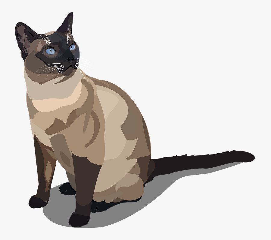 Siamese Cat Siam Clipart - Siamese Cat Vector Png, Transparent Clipart
