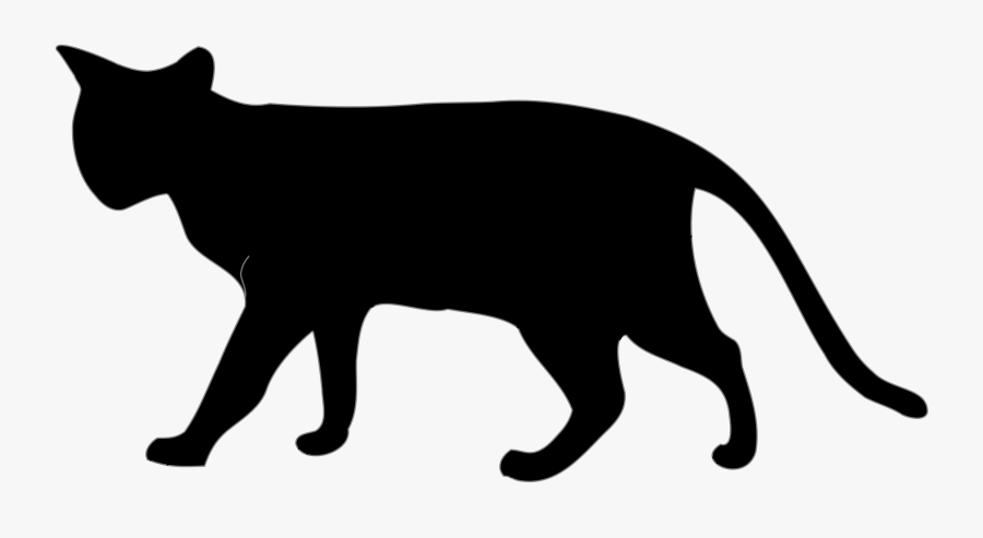 Transparent White Cat Png - Cat Png Black And White, Transparent Clipart