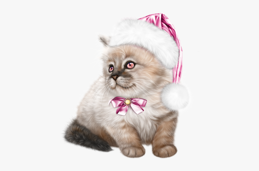 Ragdoll Kittens Clipart, Transparent Clipart