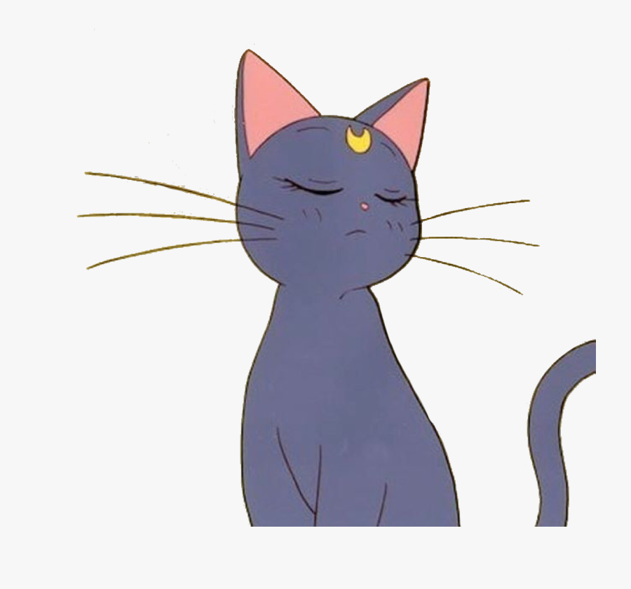 Black-cat - Sailor Moon Cat Aesthetic, Transparent Clipart