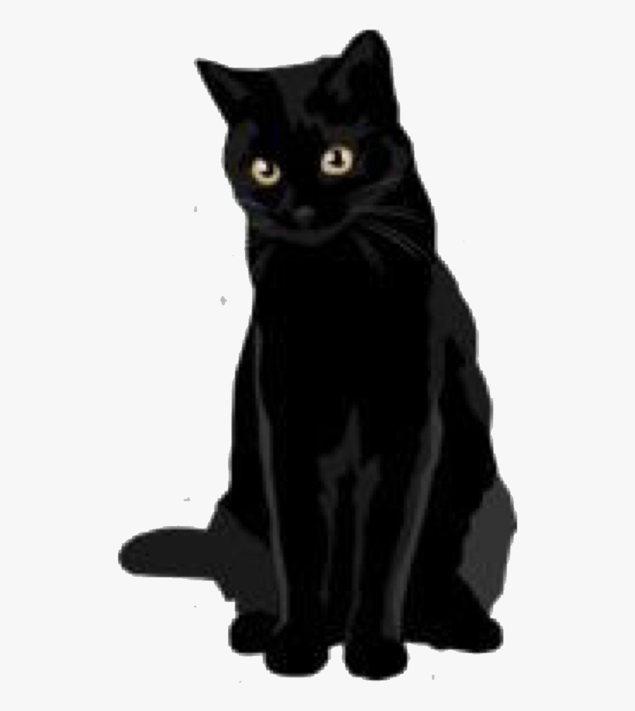 Black-cat - Black Cat Transparent, Transparent Clipart