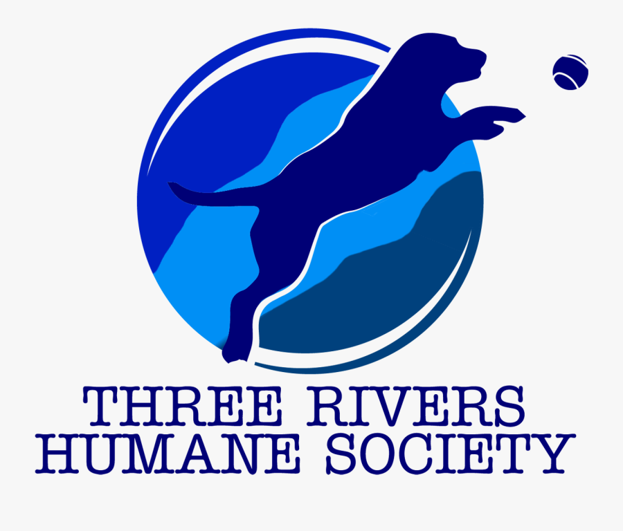 92 Izi (1500x1370) - Love, Transparent Clipart