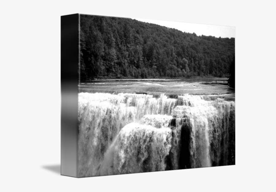 Monochrome, Transparent Clipart