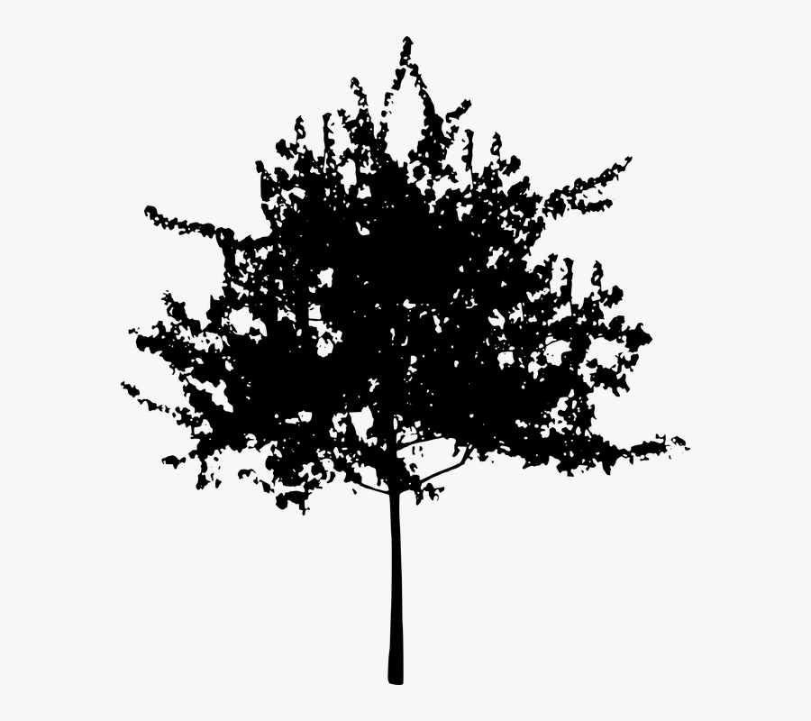 Flower Tree Transparent Background, Transparent Clipart