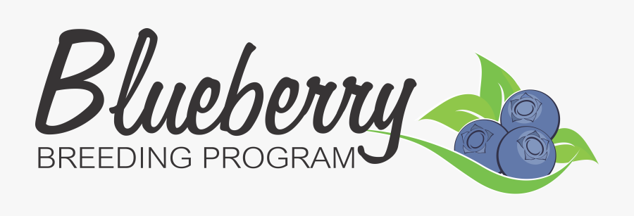 Berry Bush Png, Transparent Clipart