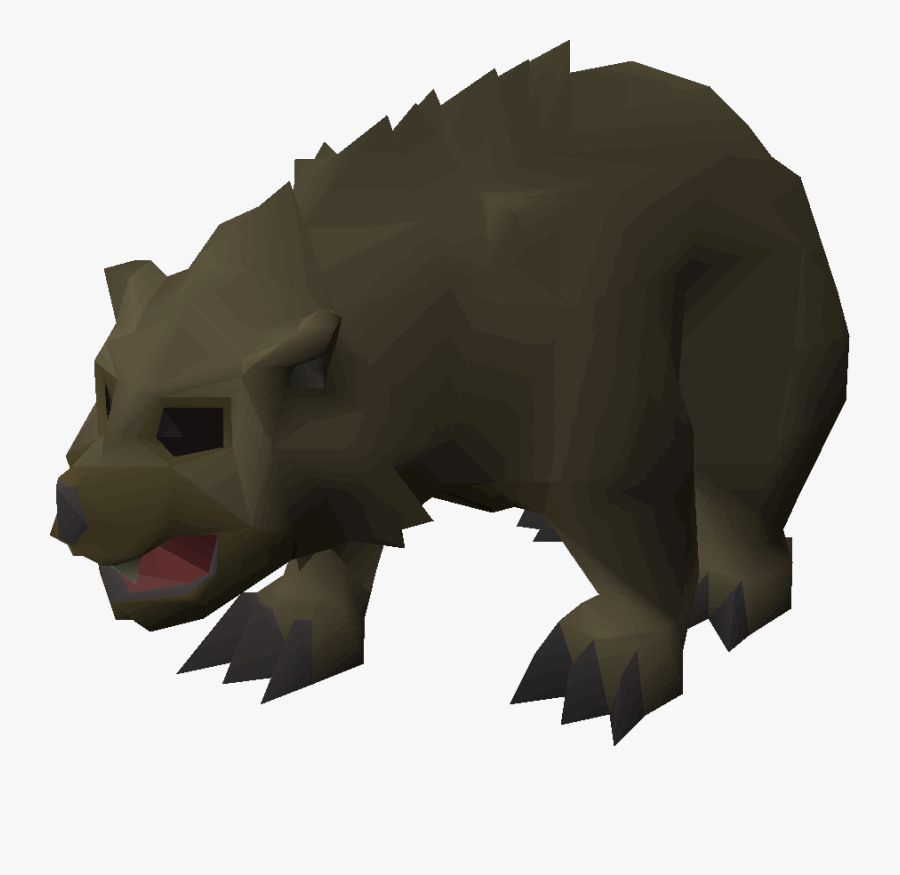 Old School Runescape Wiki - Grizzly Bear Cub Cringy, Transparent Clipart