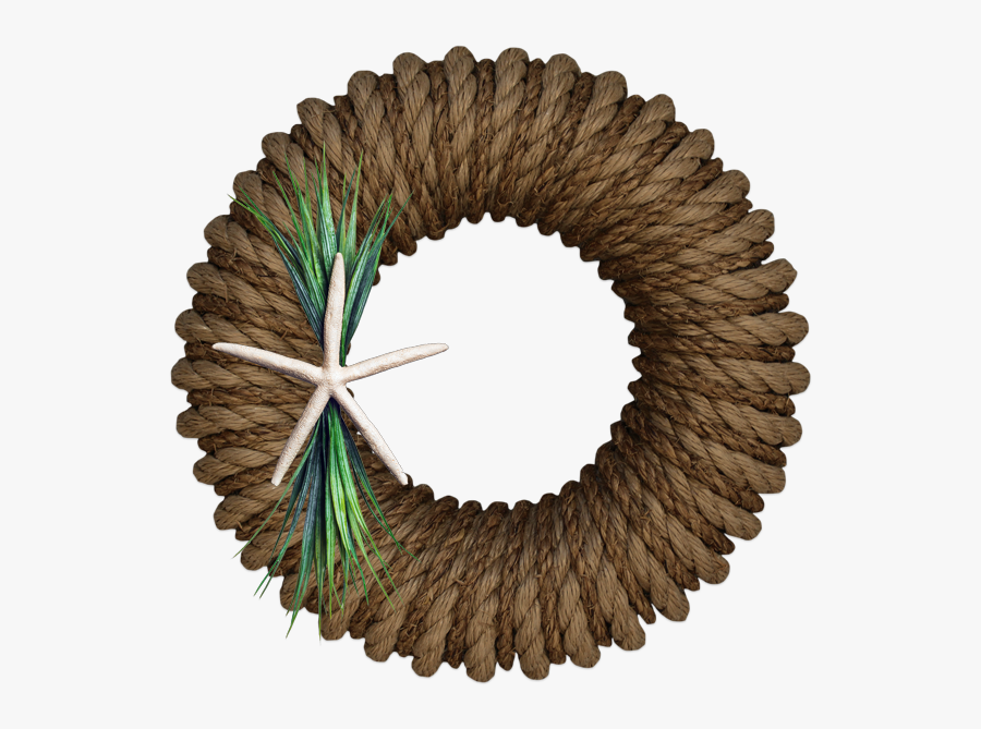 Clip Art Inch Hampton Starfish - Mountain Bike Wheel Icon, Transparent Clipart