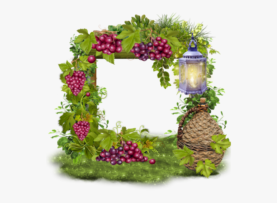 Grape, Transparent Clipart