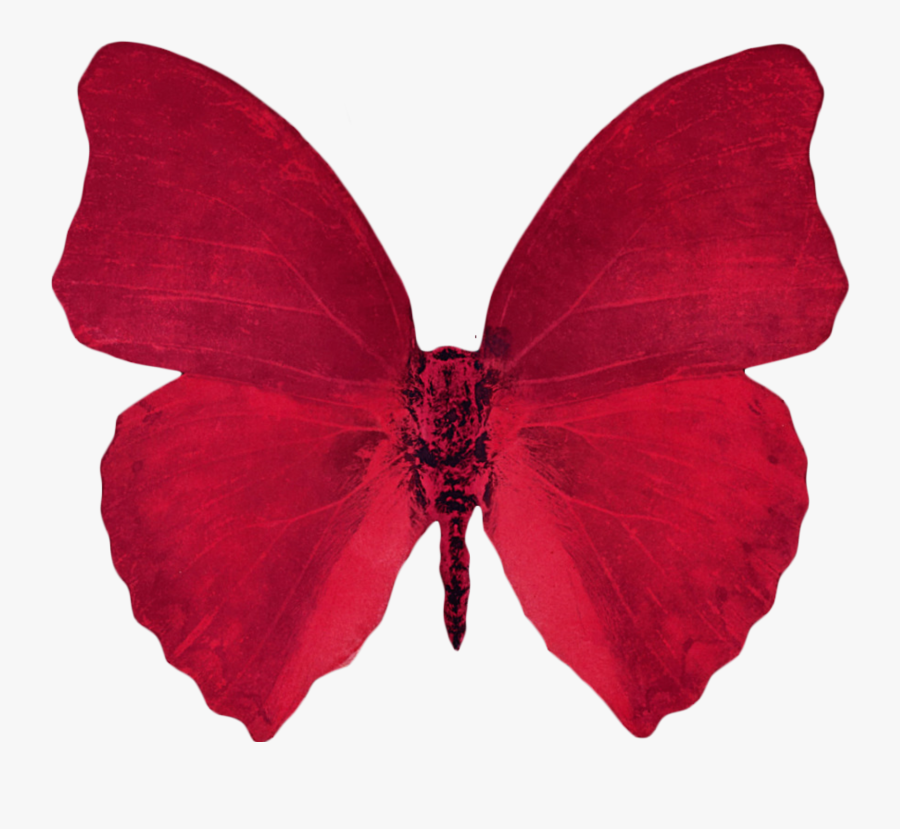 Portable Network Graphics Vaporwave Transparency Aesthetics - Transparent Red Butterfly Png, Transparent Clipart