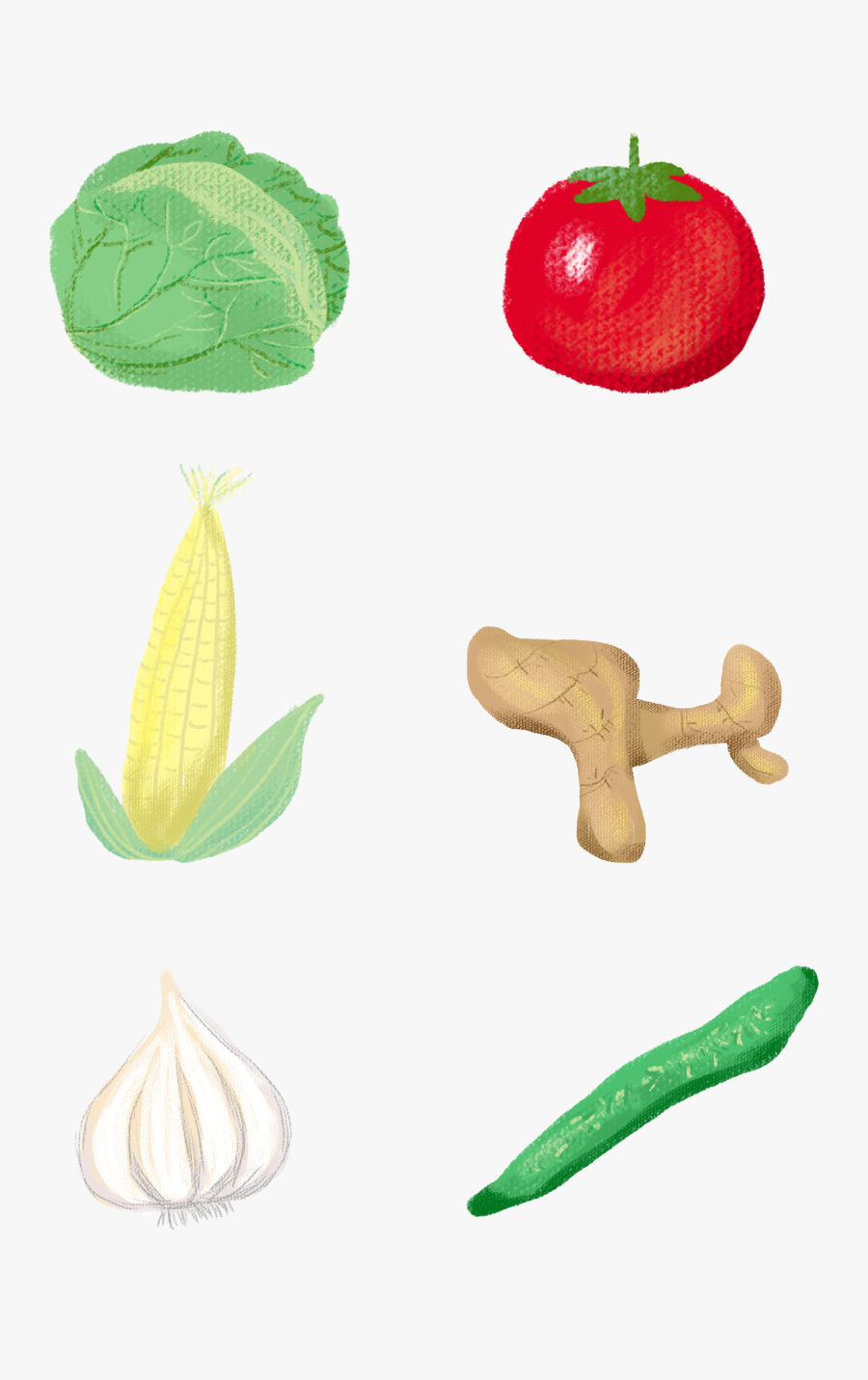 Hand Drawn Cute Vector Cartoon Png And Psd - ผัก การ์ตูน, Transparent Clipart