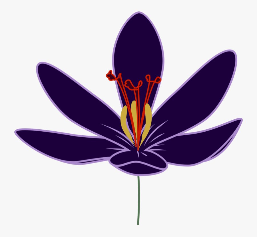 Autumn Crocus Crocus Vernus Flower Saffron Snow Crocus - Transparent Saffron Flower Png, Transparent Clipart