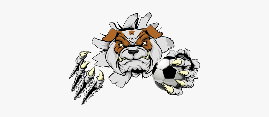 Bulldog Ripping Through Wall, Transparent Clipart