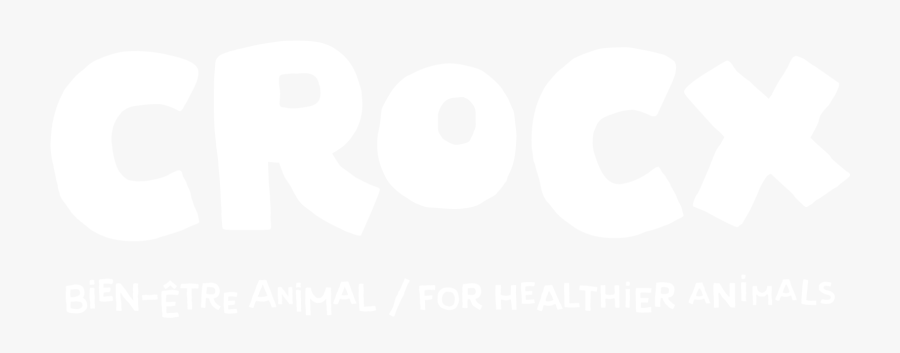 Graphic Design, Transparent Clipart