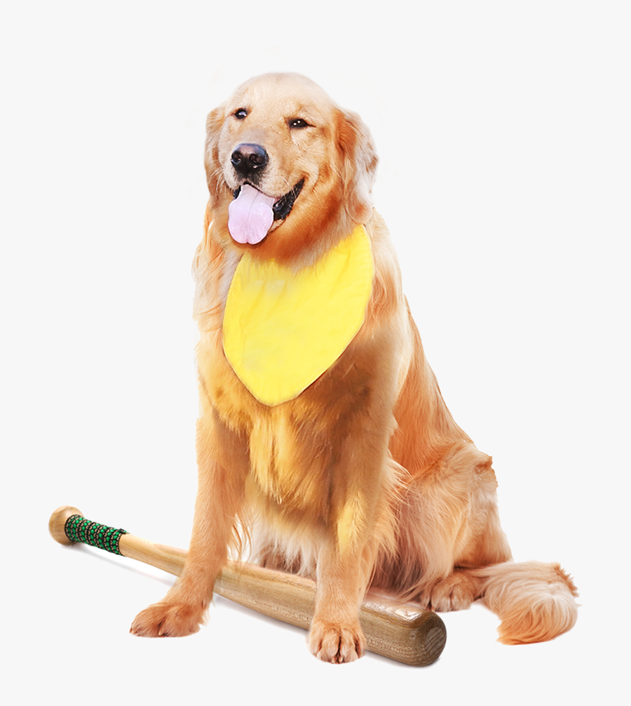 Rookie - Dog Catches Something, Transparent Clipart