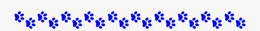 Circle, Transparent Clipart