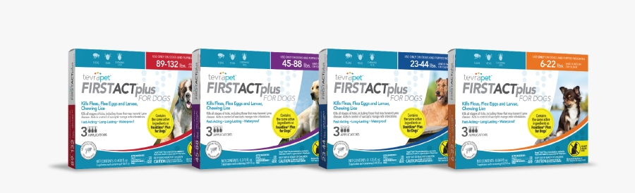 Alpine Dachsbracke, Transparent Clipart