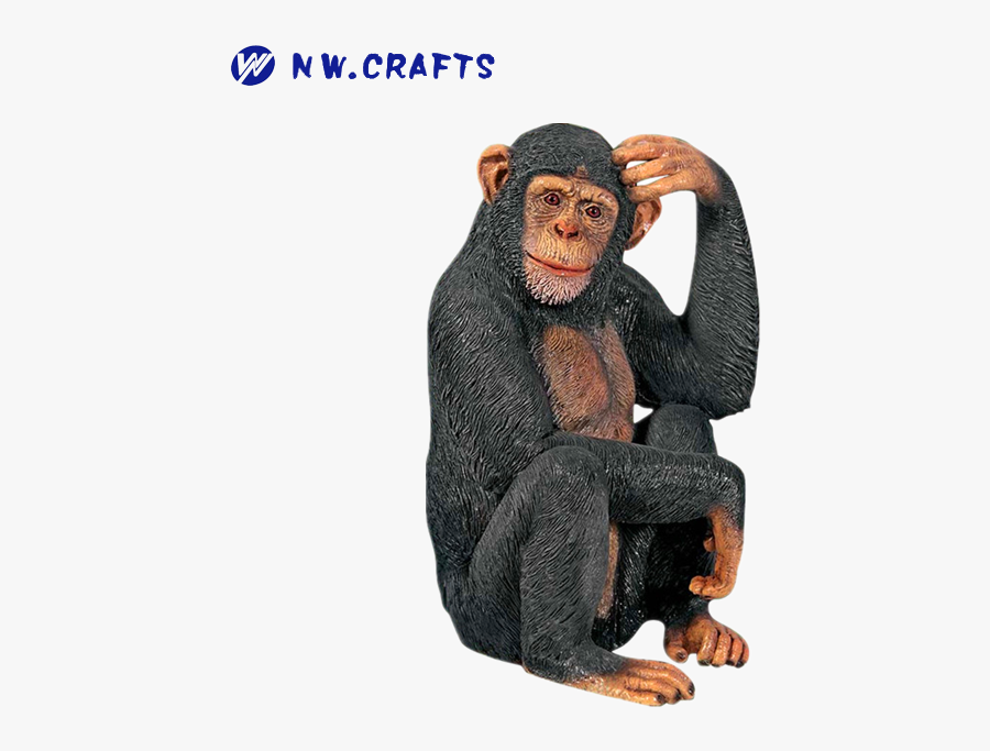 Clip Art Chimp Scratching Head - Monkey Scratching Its Head, Transparent Clipart